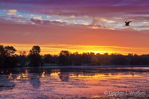 Rideau Canal Sunrise_20606-7.jpg - Rideau Canal Waterway photographed near Smiths Falls, Ontario, Canada.